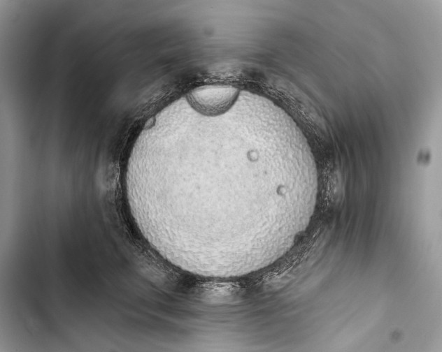 X0000103460711200810031458