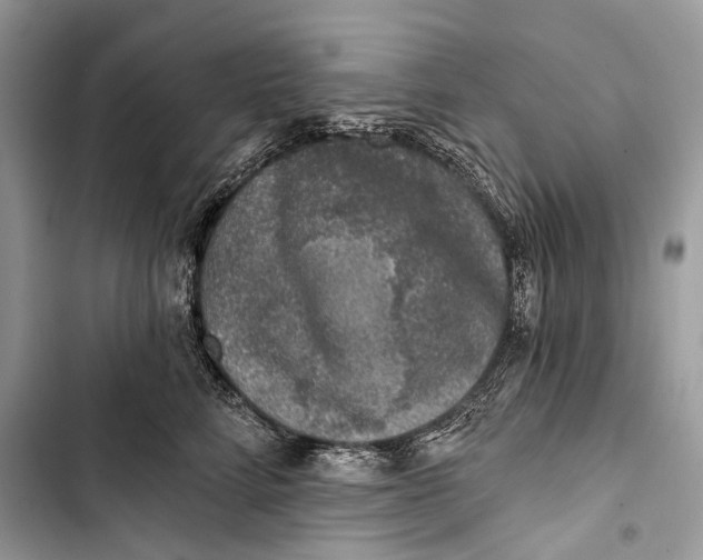 X0000103460712200810031458