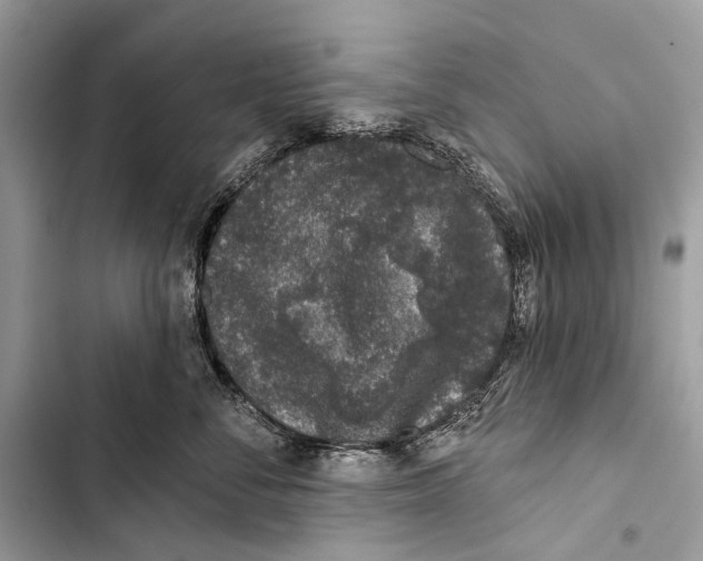 X0000103460716200810031458