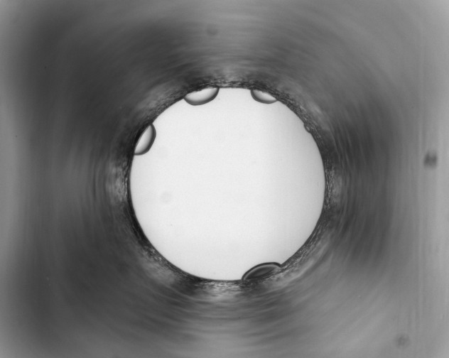 X0000103460719200810031458