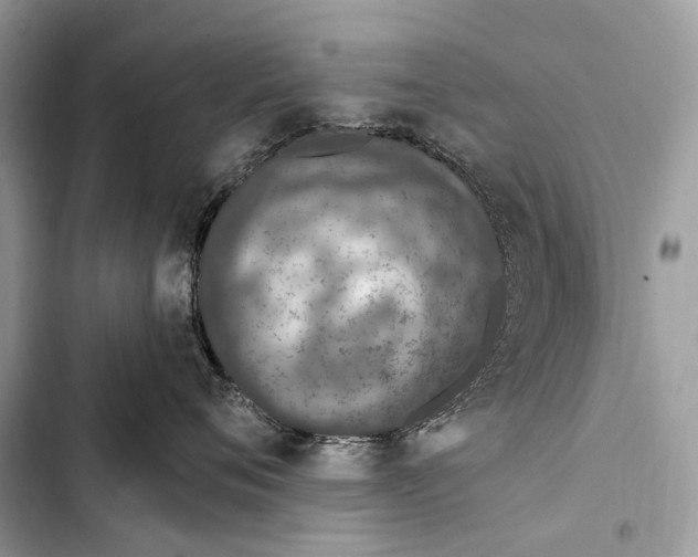 X0000103460720200810031458