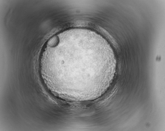 X0000103460721200810031457