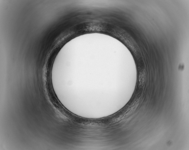 X0000103460722200810031457