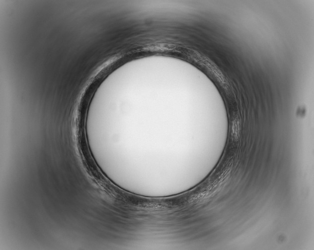 X0000103460724200810031457