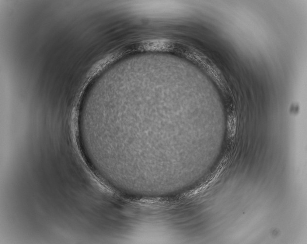 X0000103460725200810031457