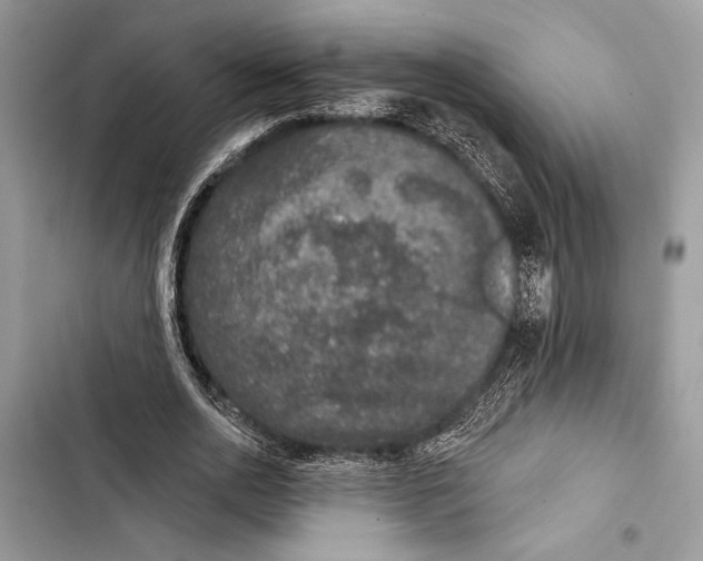 X0000103460726200810031457