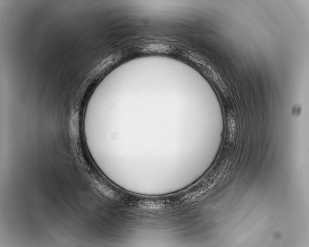 X0000103460729200810031457