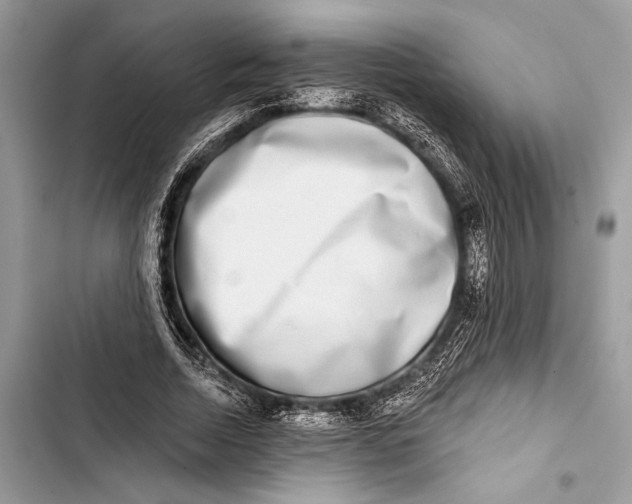 X0000103460730200810031457