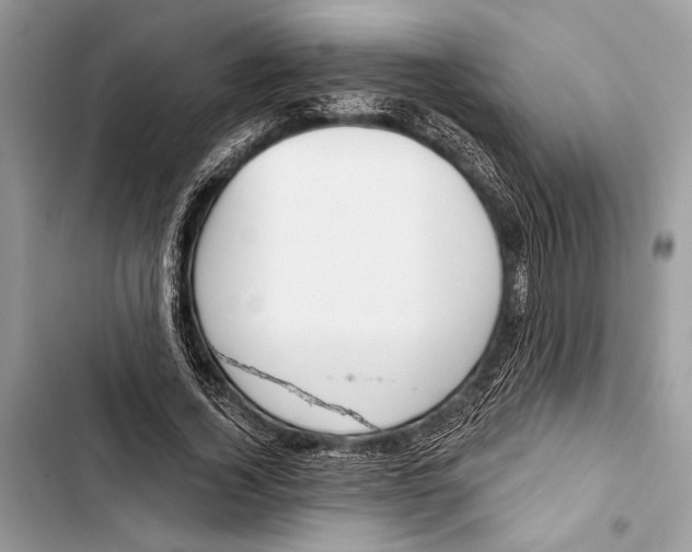 X0000103460732200810031457