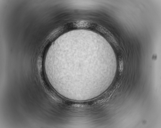 X0000103460733200810031457