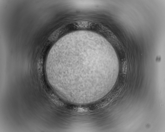 X0000103460737200810031457