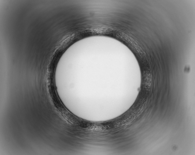 X0000103460738200810031457