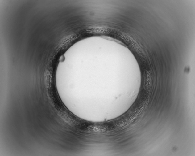 X0000103460739200810031457