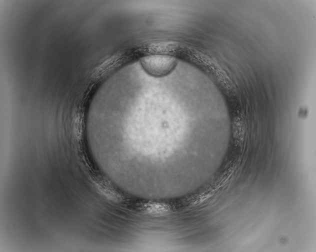 X0000103460741200810031457