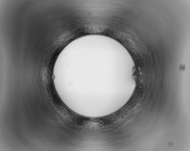 X0000103460743200810031457