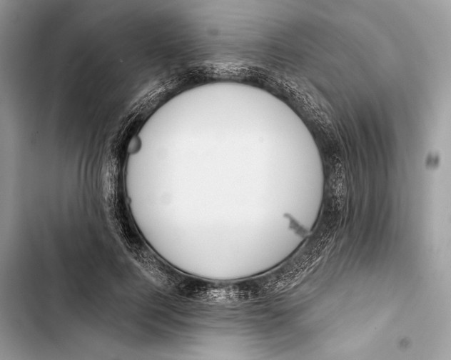 X0000103460744200810031457