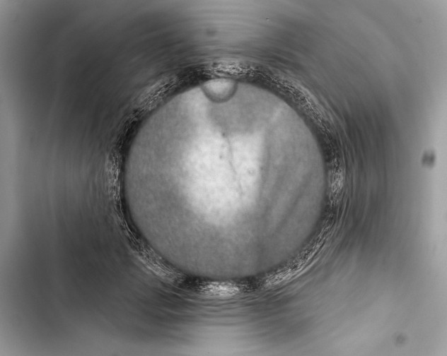 X0000103460749200810031458