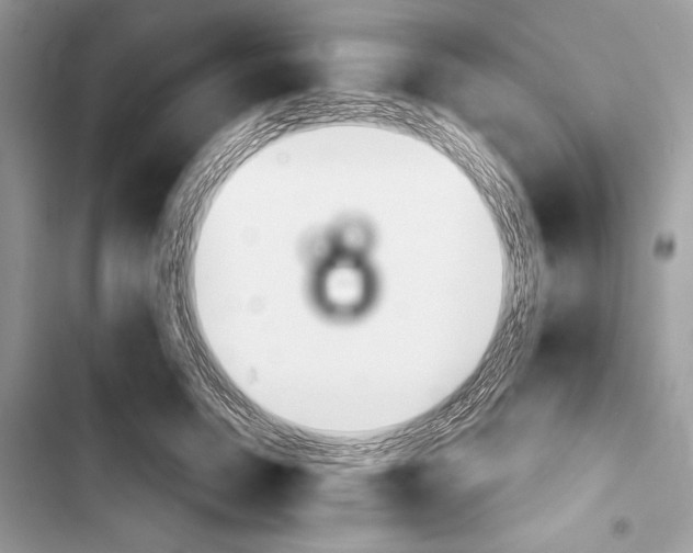 X0000103460750200810031458