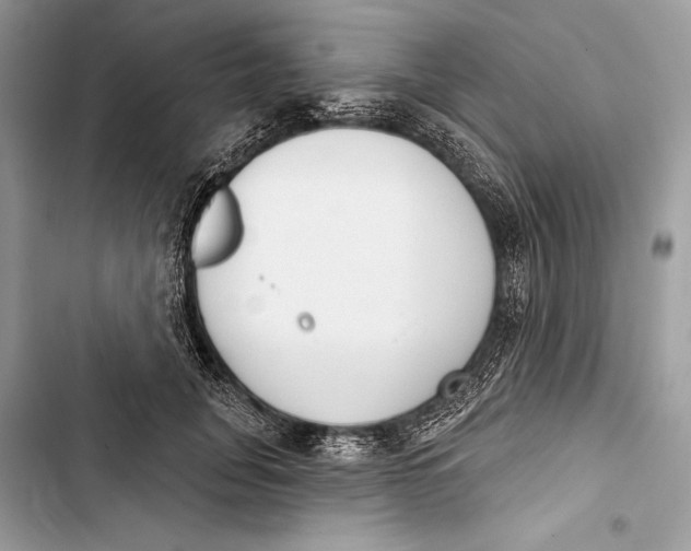 X0000103460751200810031458