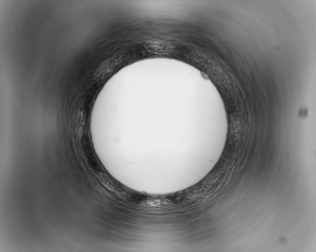 X0000103460752200810031458