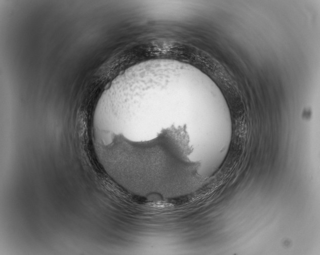 X0000103460754200810031458