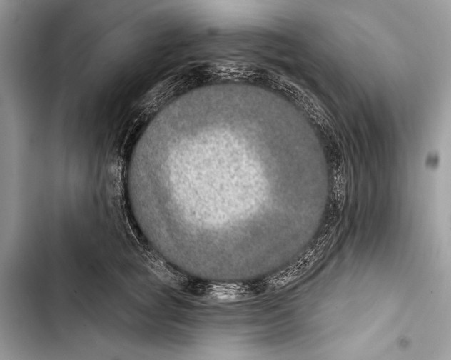 X0000103460757200810031458