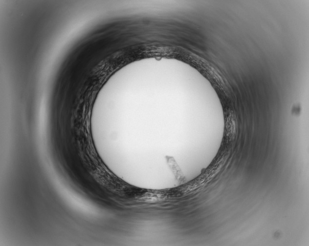 X0000103460764200810031458