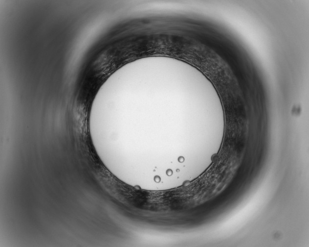 X0000103460766200810031458