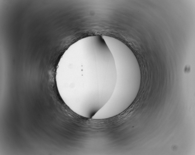 X0000103460768200810031458