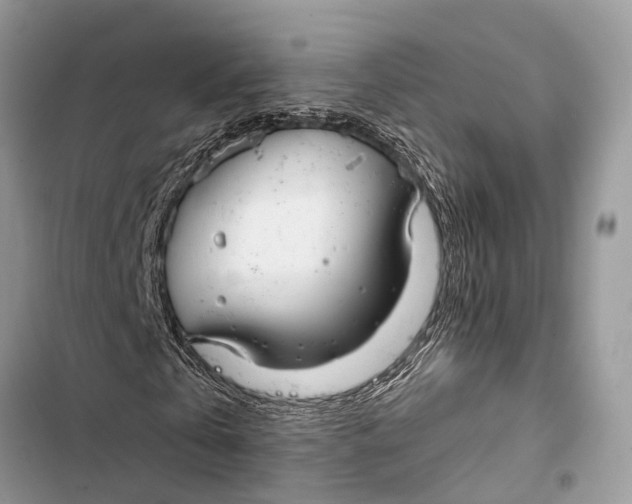 X0000103460769200810031457