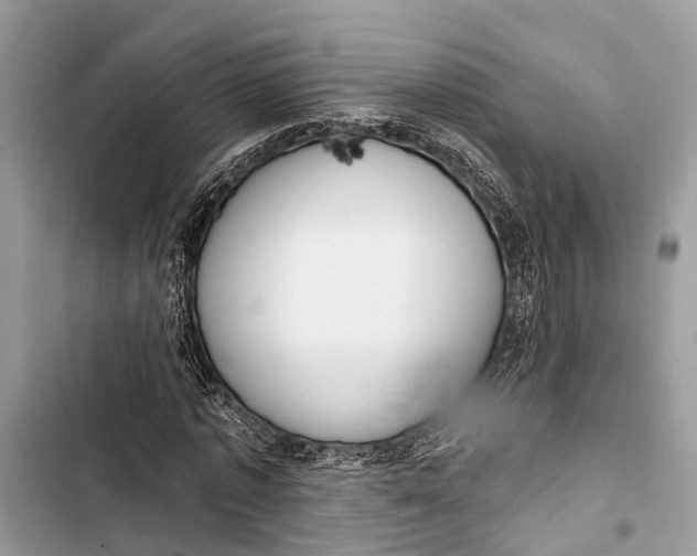 X0000103460773200810031457