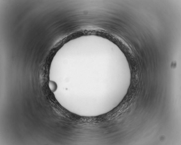 X0000103460775200810031457