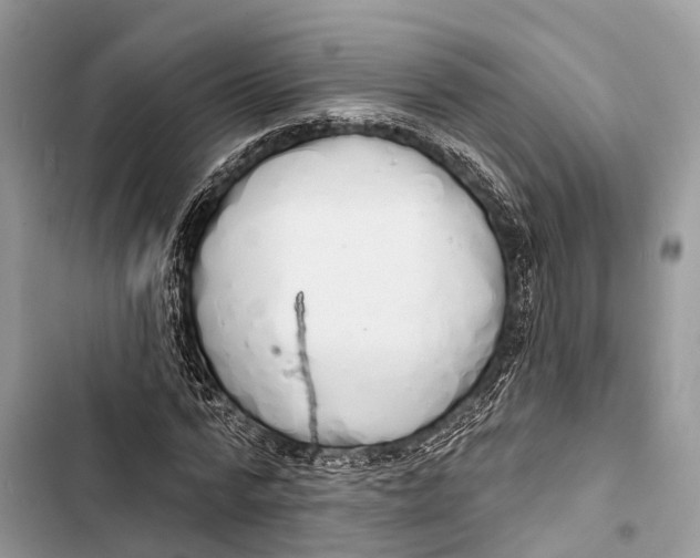 X0000103460776200810031457