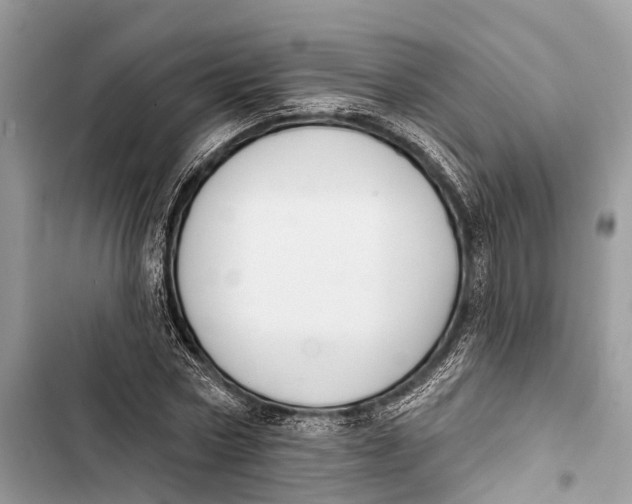 X0000103460778200810031457