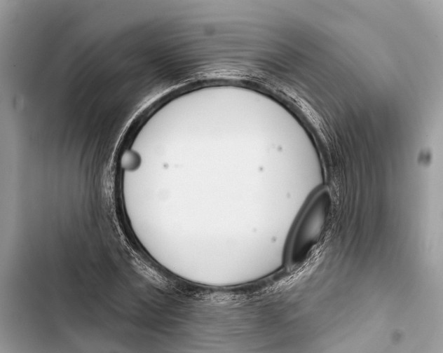 X0000103460779200810031457