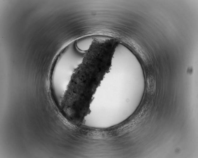 X0000103460780200810031457