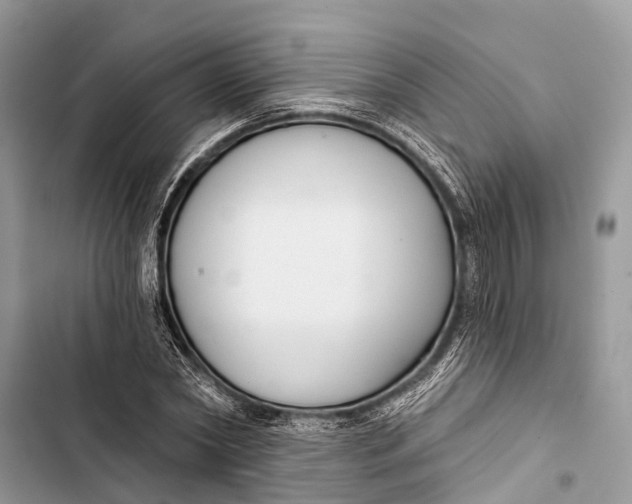 X0000103460782200810031457