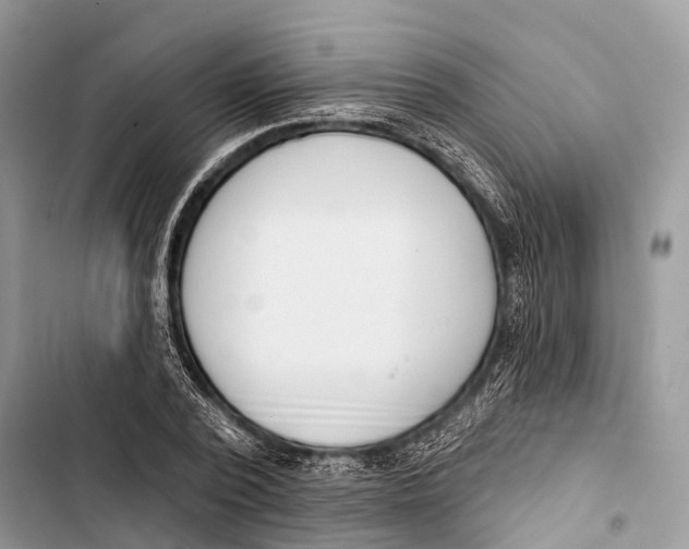 X0000103460784200810031457