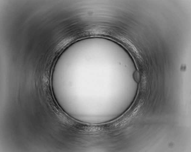 X0000103460785200810031457