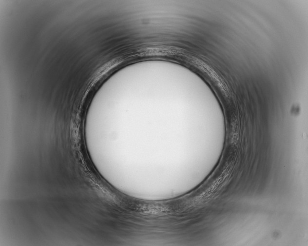 X0000103460786200810031457