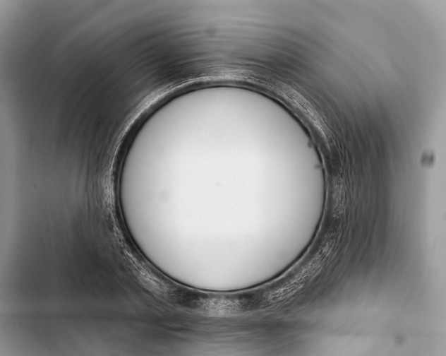 X0000103460789200810031457