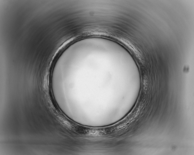 X0000103460790200810031457