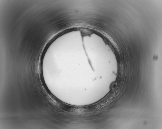 X0000103460791200810031457