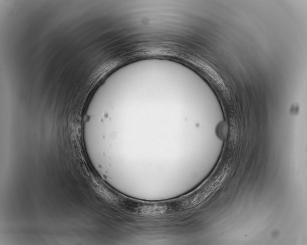 X0000103460793200810031457