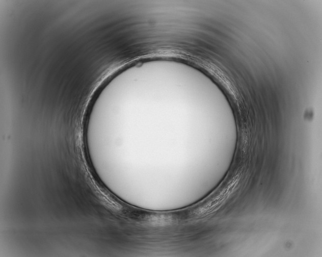 X0000103460797200810031457