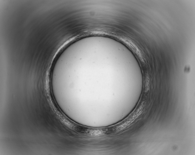 X0000103460798200810031457