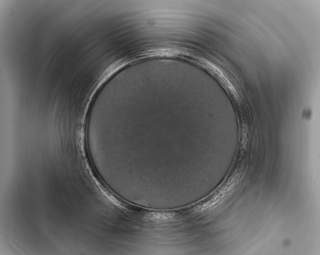 X0000103460802200810031457