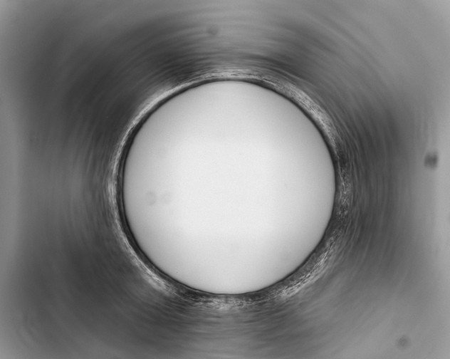 X0000103460803200810031457