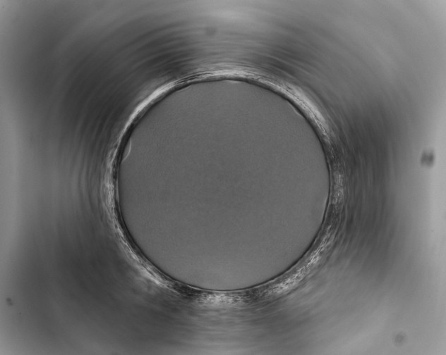 X0000103460806200810031457