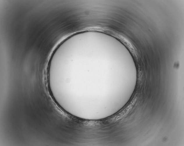 X0000103460808200810031457